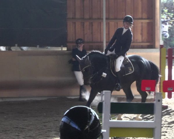 Reitturnier Schwendi 2021