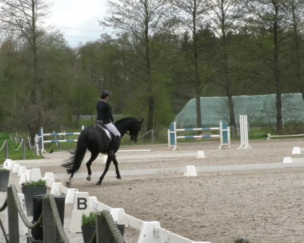 Reitturnier Handorf 2023