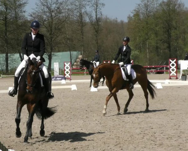 Reitturnier Handorf 2023