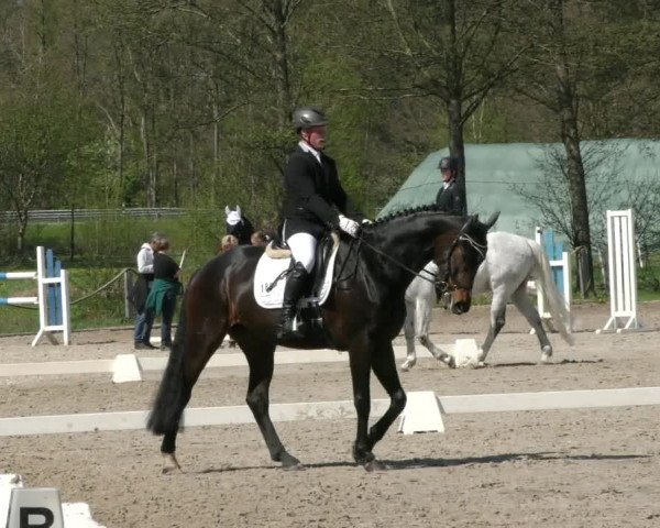 Reitturnier Handorf 2023