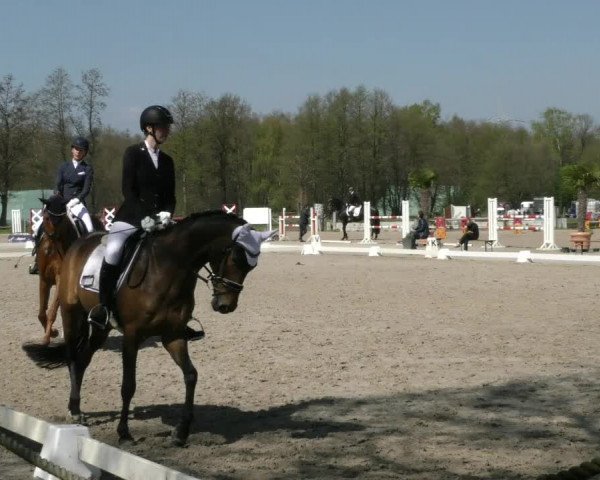 Reitturnier Handorf 2023