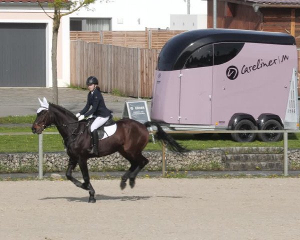 Reitturnier Ingolstadt-Hagau/Obb. 2023