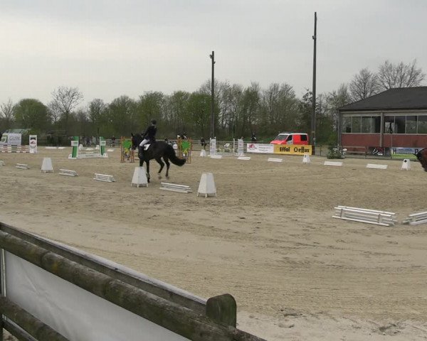 Reitturnier Nienberge 2023