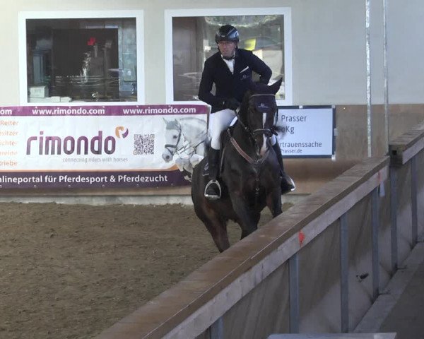 Reitturnier Schwendi 2021