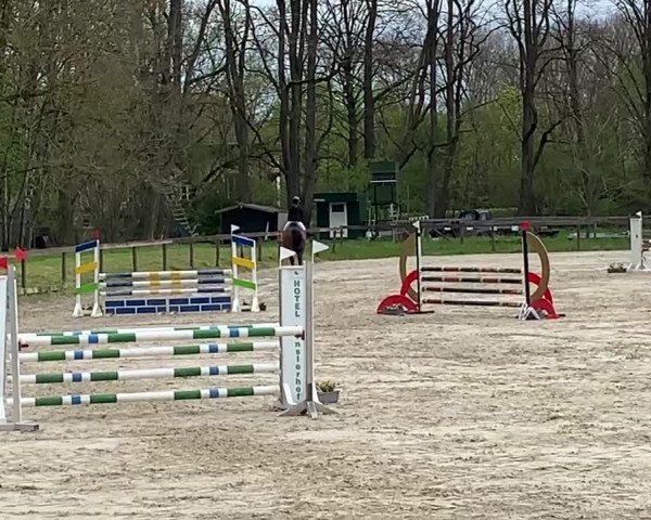 Video von Leopold Z