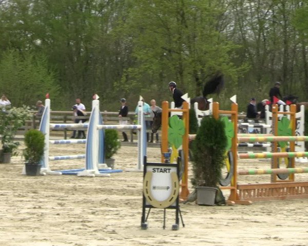 Reitturnier Nienberge 2023