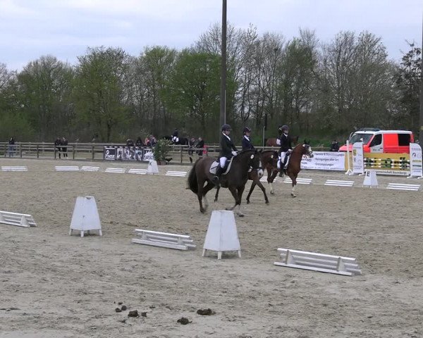 Reitturnier Nienberge 2023