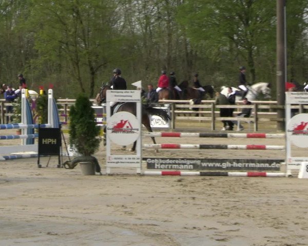 Reitturnier Nienberge 2023