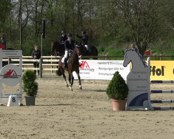 Reitturnier Nienberge 2023