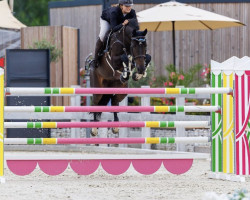 jumper Greta Sw (Bavarian, 2013, from Que Amor Sb)