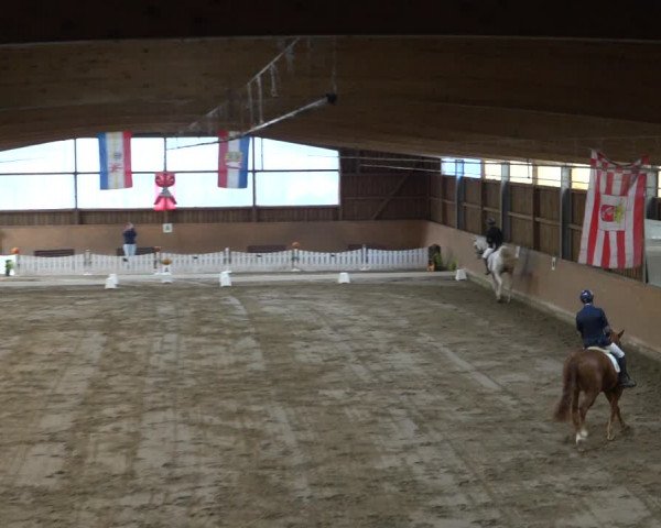 Reitturnier Scharnebeck 2021