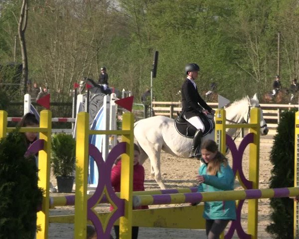 Reitturnier Nienberge 2023