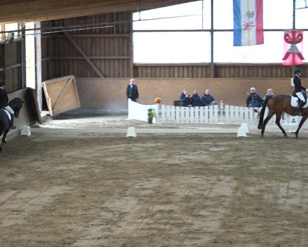 Reitturnier Scharnebeck 2021