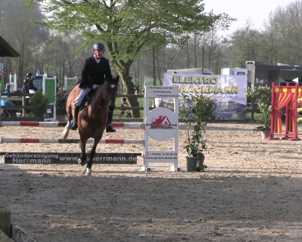 Reitturnier Nienberge 2023
