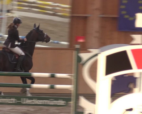 Reitturnier Polzow 2021