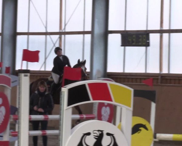 Reitturnier Polzow 2021