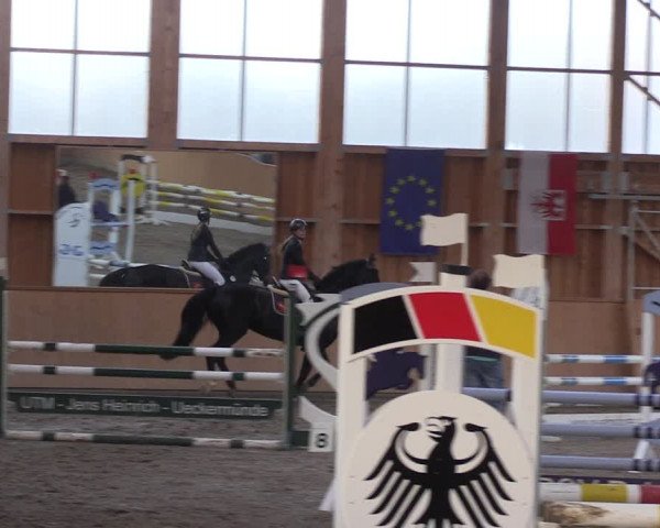 Reitturnier Polzow 2021