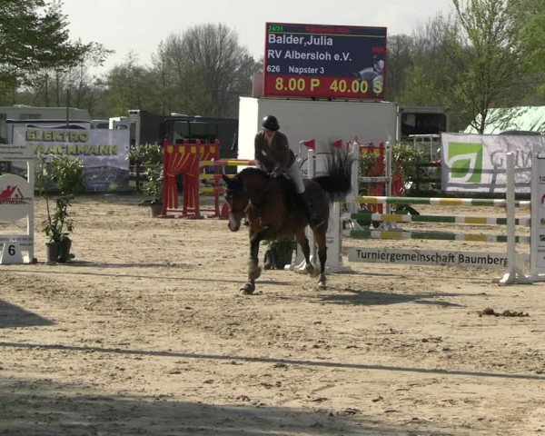 Reitturnier Nienberge 2023