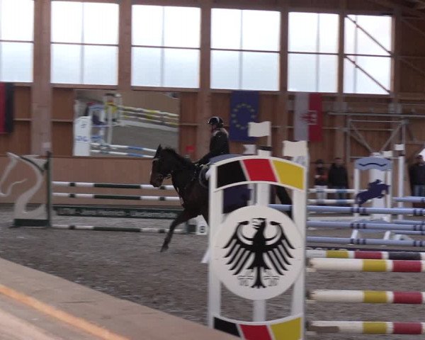 Reitturnier Polzow 2021