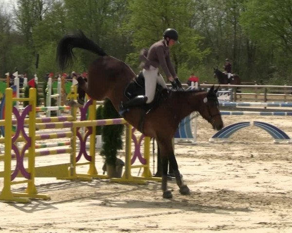 Reitturnier Nienberge 2023