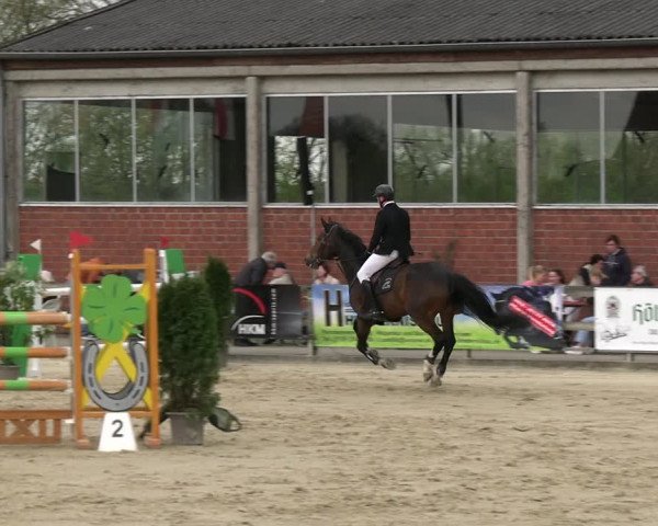 Reitturnier Nienberge 2023