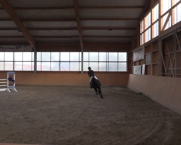 Reitturnier Polzow 2021
