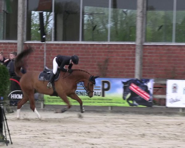 Reitturnier Nienberge 2023
