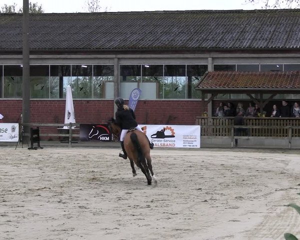 Reitturnier Nienberge 2023