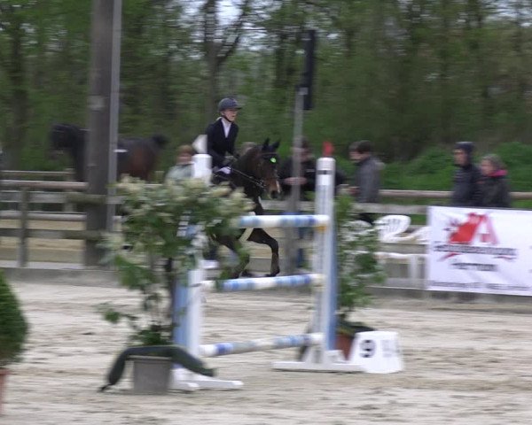 Reitturnier Nienberge 2023