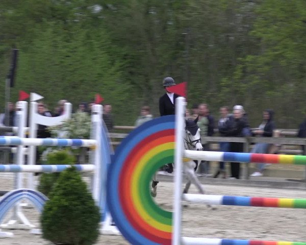 Reitturnier Nienberge 2023