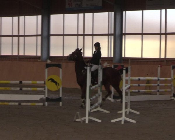 Reitturnier Polzow 2021