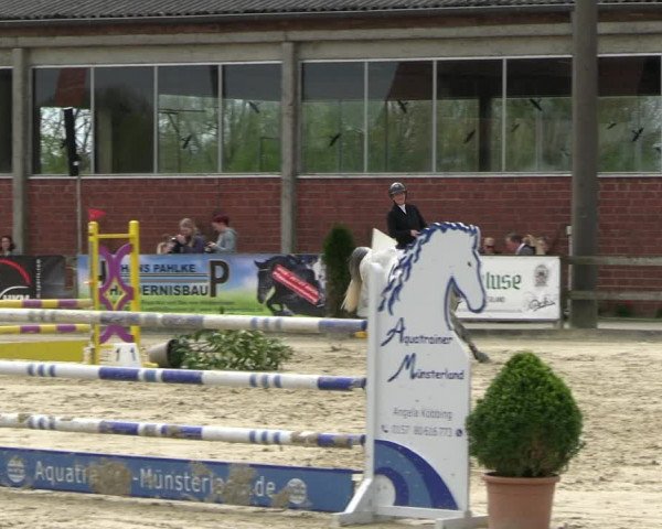 Reitturnier Nienberge 2023