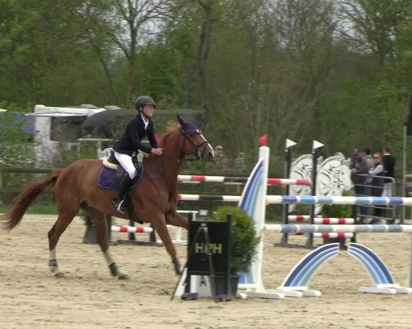 Reitturnier Nienberge 2023