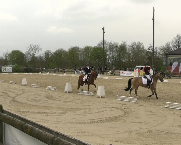 Reitturnier Nienberge 2023
