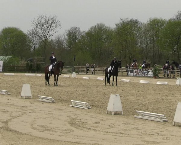 Reitturnier Nienberge 2023