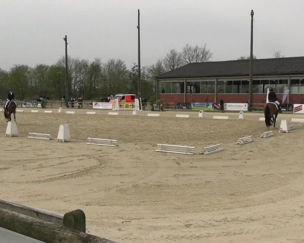 Reitturnier Nienberge 2023