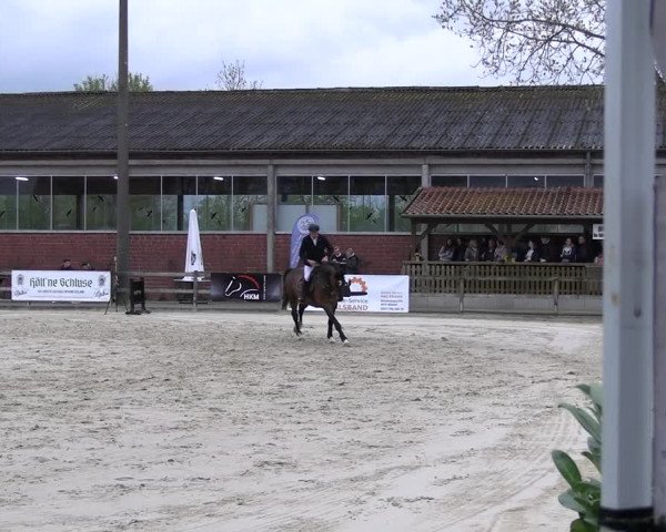Reitturnier Nienberge 2023