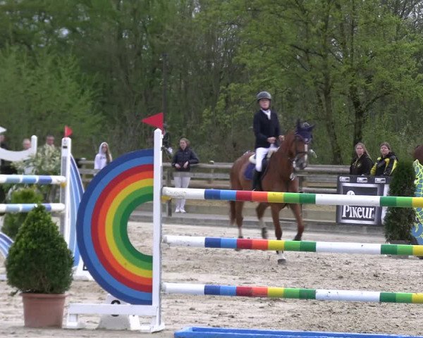 Reitturnier Nienberge 2023