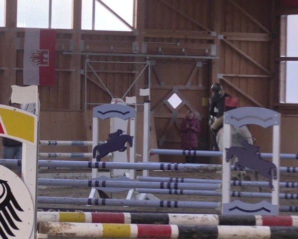 Reitturnier Polzow 2021