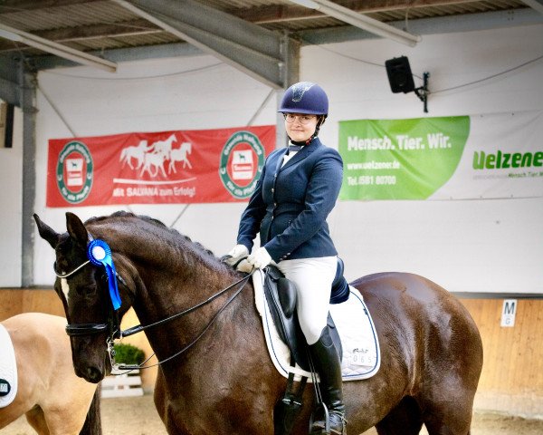 dressage horse Djazeera (Hanoverian, 2011, from Dauphin)