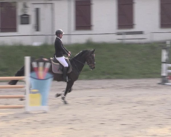 Reitturnier Lgl.-Oberhain, B95 2023