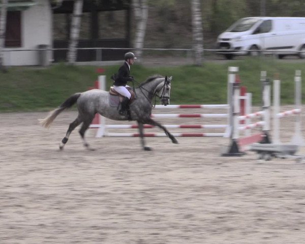 Reitturnier Lgl.-Oberhain, B95 2023