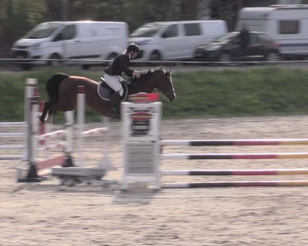 Reitturnier Lgl.-Oberhain, B95 2023