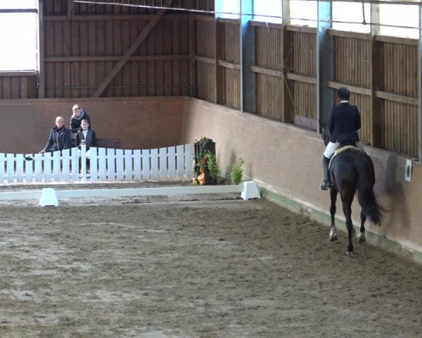 Reitturnier Scharnebeck 2021