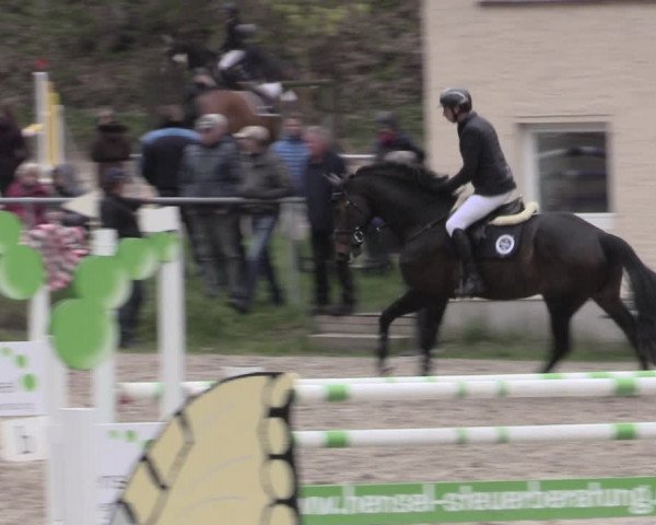 Reitturnier Lgl.-Oberhain, B95 2023