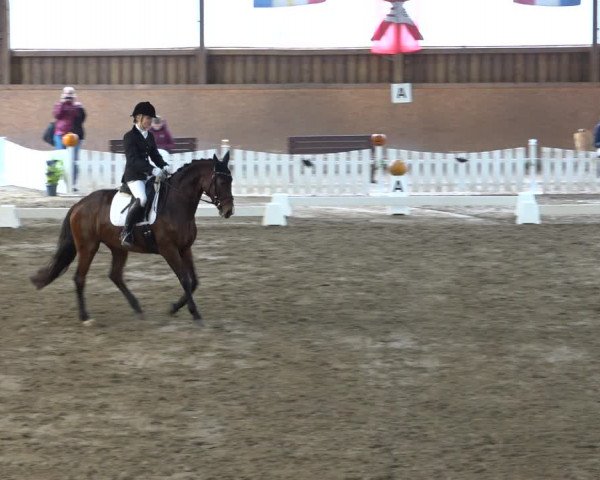 Reitturnier Scharnebeck 2021