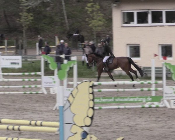 Reitturnier Lgl.-Oberhain, B95 2023