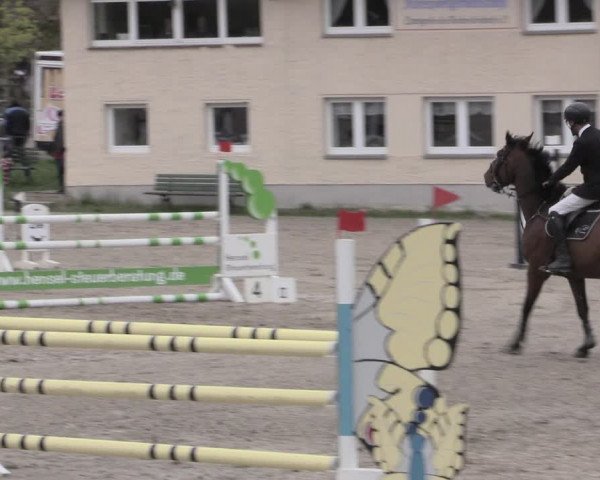 Reitturnier Lgl.-Oberhain, B95 2023