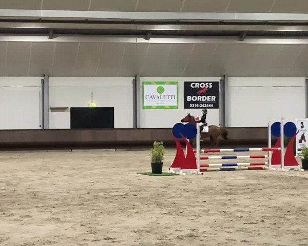 Video of Magic Fiete L