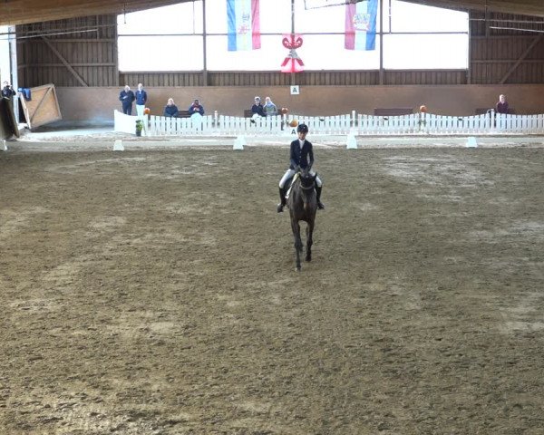 Reitturnier Scharnebeck 2021